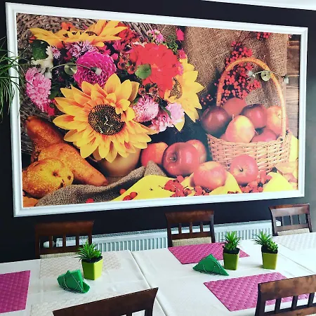 Palacyk Проживание в семье *